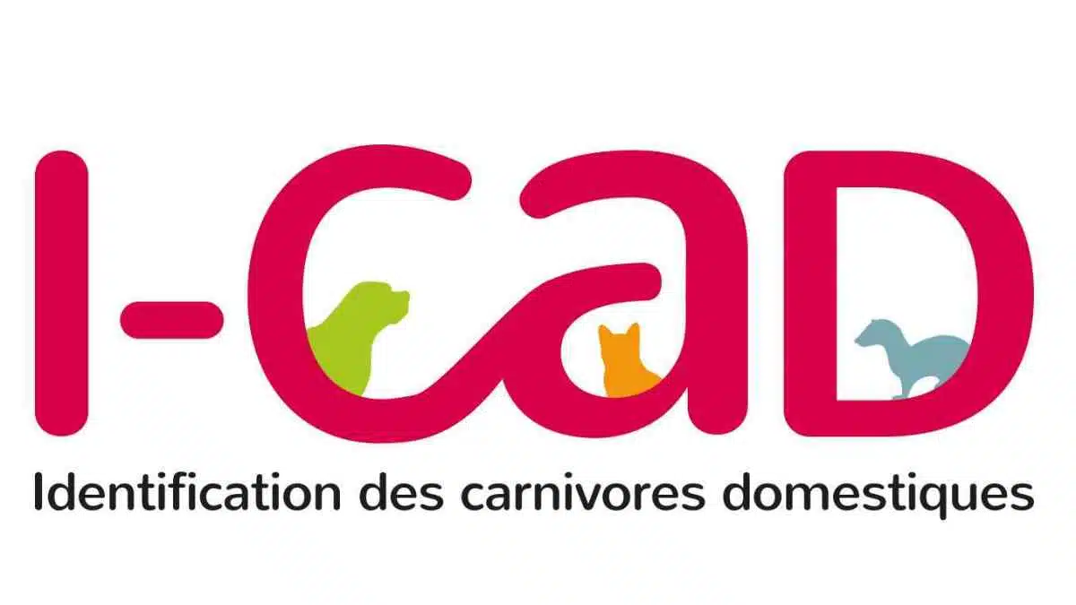 I-CAD_ Identification animale JAF-info Animalerie