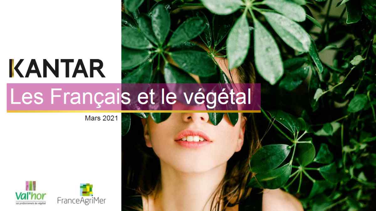 LES FRANCAIS et le vegetal JAF-info Jardinerie Fleuriste