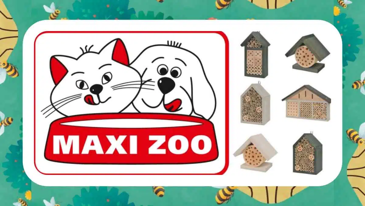 Maxi Zoo Insectes JAF-info Animalerie