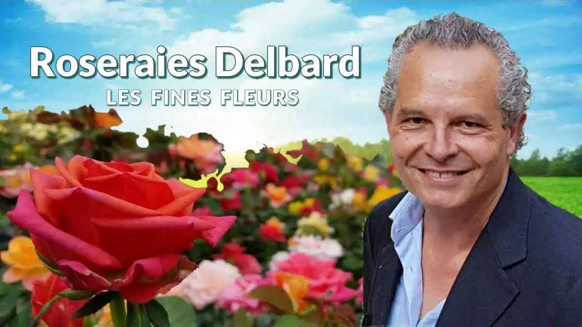Roseraies Delbard Les fines fleurs JAF-info Jardinerie