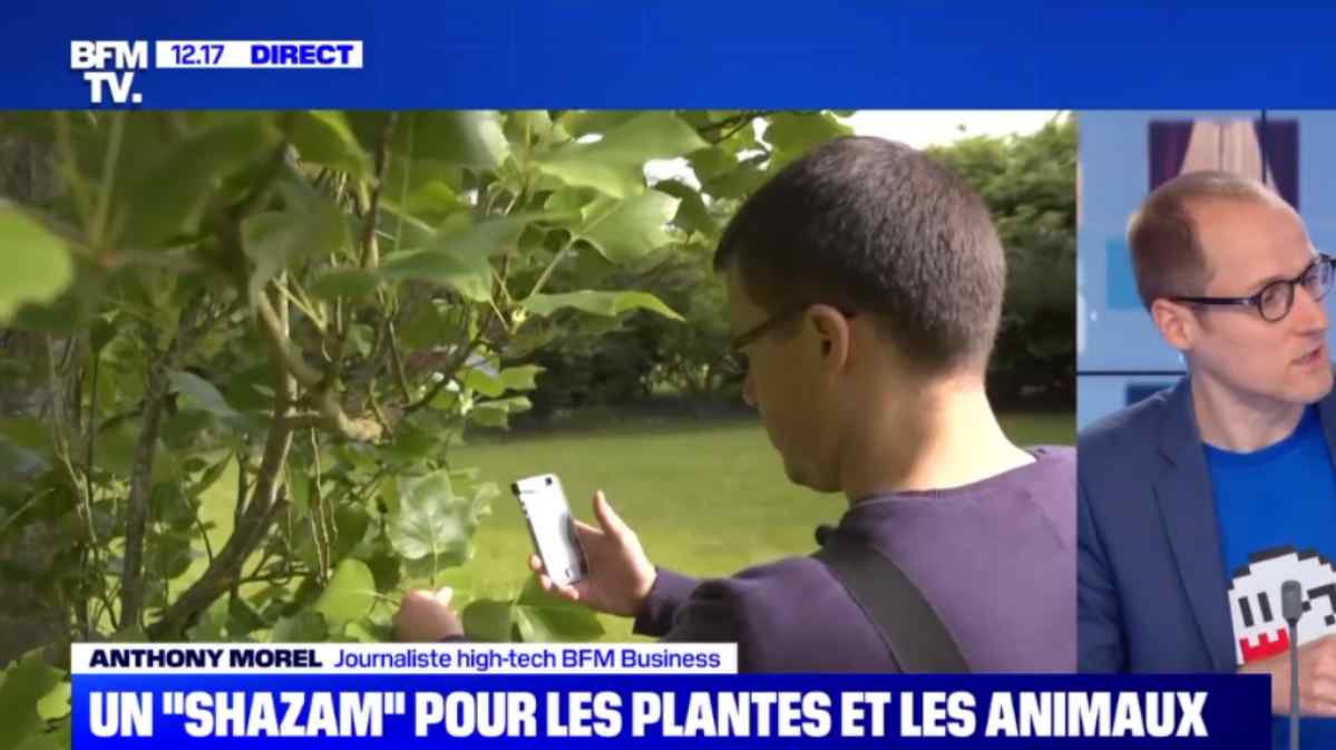Un-Shazam-pour-les-plantes-et-les-oiseaux-03-05-JAF-info Jardinerie Animalerie Fleuriste