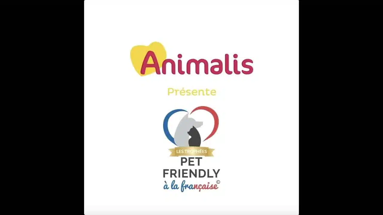 Les lauréats 2021 des Trophées Pet Friendly à la Française