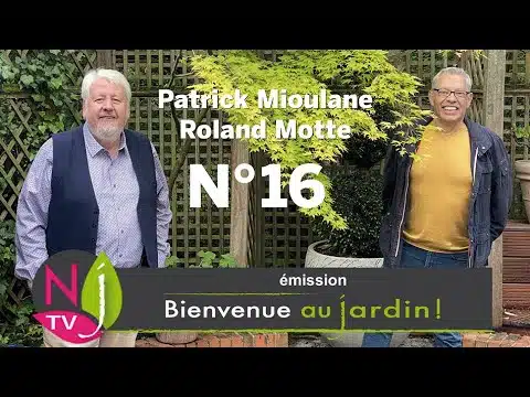 BIENVENUE AU JARDIN N°16 (le grand podcast hebdomadaire de NewsJardinTV avec Patrick et Roland)