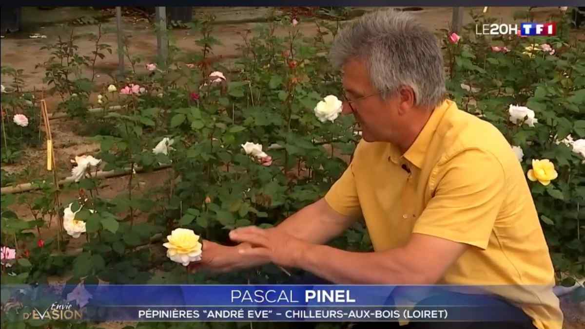 À-la-découverte-de-la-Route-de-la-Rose-du-Loiret-Journal-de-20-heures-TF1 JAF-info Jardinerie Fleuriste