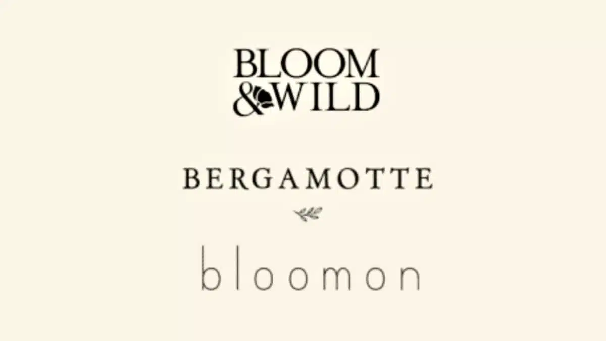 Bergamotte Bloom and Wild Bloomon JAF-info Fleuriste