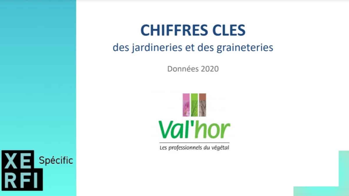 Etudes Xerfi Spécific Val'Hor - Les Chiffres Clés Des Jardineries Graineteries - 65 % De Leurs Achats De Végétaux Est Français !