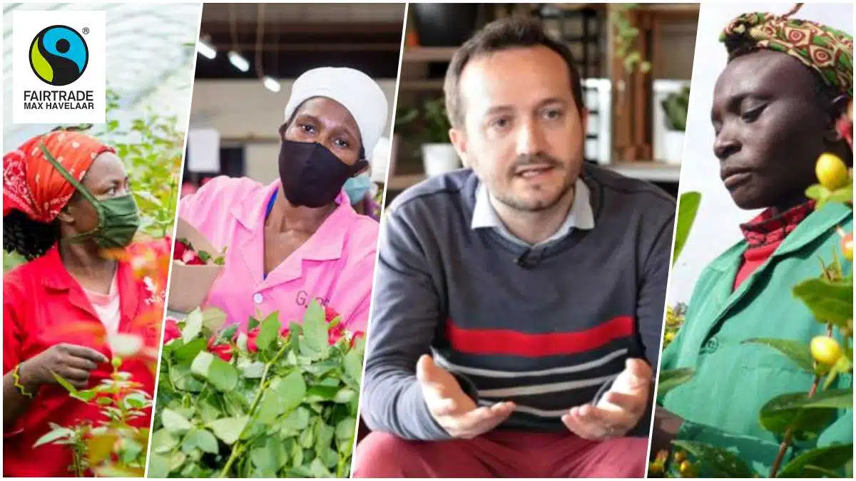 Commerce équitable Fairtrade Max Havelaar - Rapport 2020 - Les travailleurs de la filière fleurs les plus touchés pendant la crise Covid19