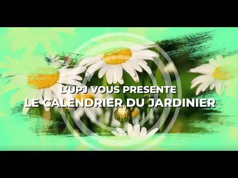 Le Calendrier du Jardinier - Juillet