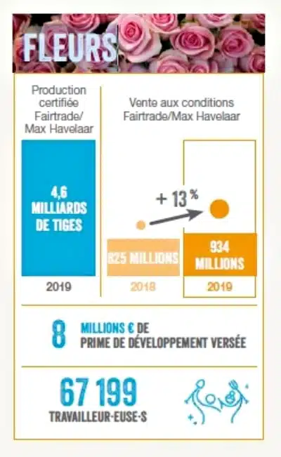 Commerce équitable Fairtrade Max Havelaar - Rapport 2020 - Les travailleurs de la filière fleurs les plus touchés pendant la crise Covid19