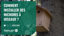 [TUTO] Comment installer des nichoirs à oiseaux ? – Jardinerie Gamm vert