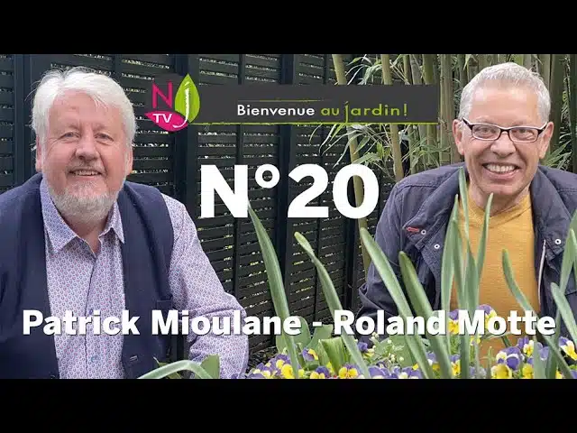BIENVENUE AU JARDIN N° 20 (le grand podcast hebdomadaire de NewsJardinTV avec Patrick et Roland)
