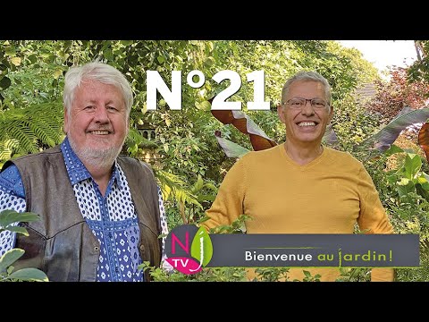 BIENVENUE AU JARDIN N° 21 (le grand podcast hebdomadaire de NewsJardinTV avec Patrick et Roland)