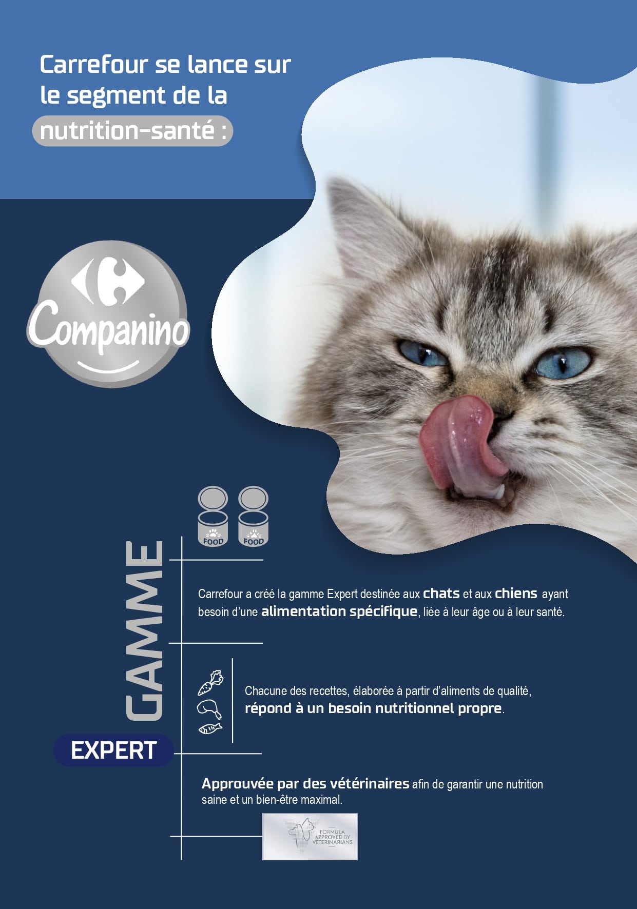 Carrefour Lance 47 Innovations À Marque Propre Sur Le Rayon Petfood - Companino 1Ère Marque Propre Qui Répond À Tous Les Besoins De Nos Animaux À Prix Accessible !