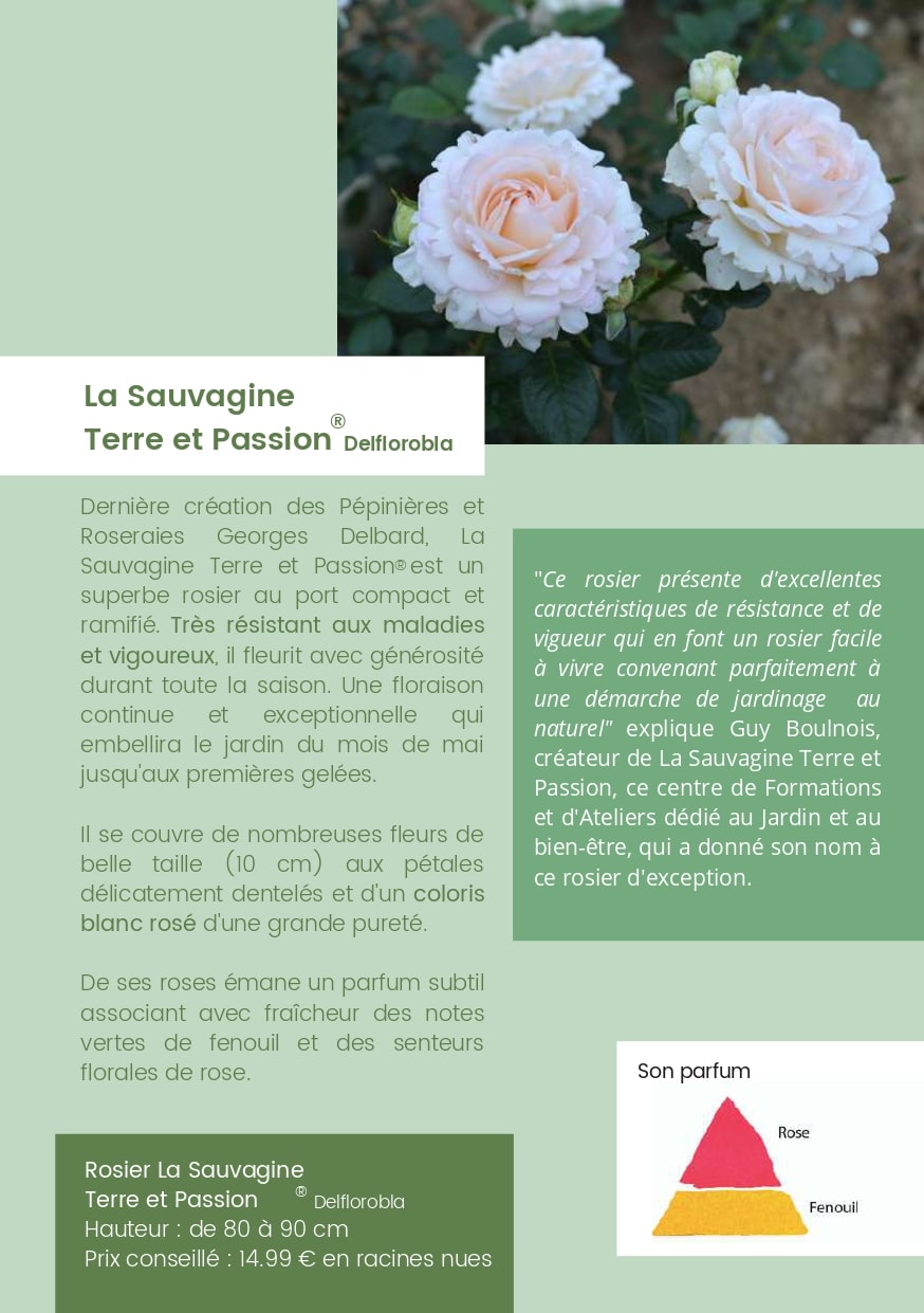 La Sauvagine Terre et Passion : Dernière création des Pépinières et Roseraies Georges Delbard