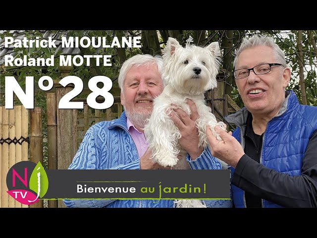 BIENVENUE AU JARDIN N° 28 (le grand podcast hebdomadaire de NewsJardinTV avec Patrick et Roland)