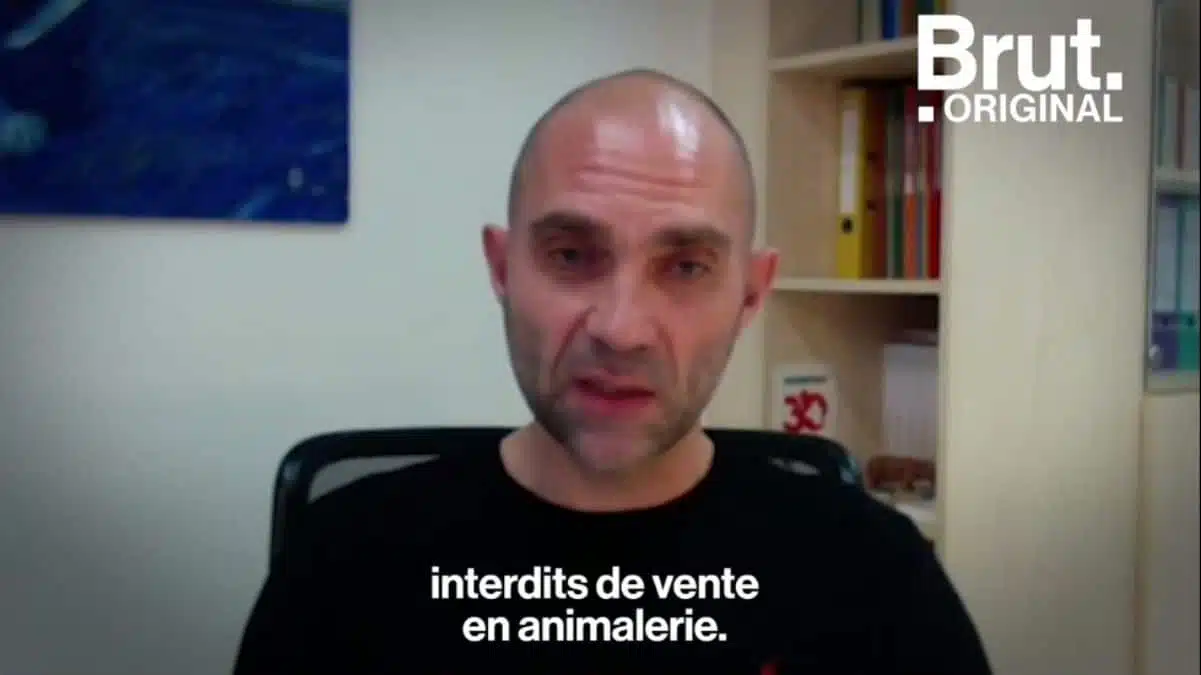 Loi sur la maltraitance animale JAF-info Animalerie