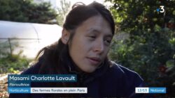 Paris ils cultivent des fermes florales en pleine capitale JAF-info Fleuriste