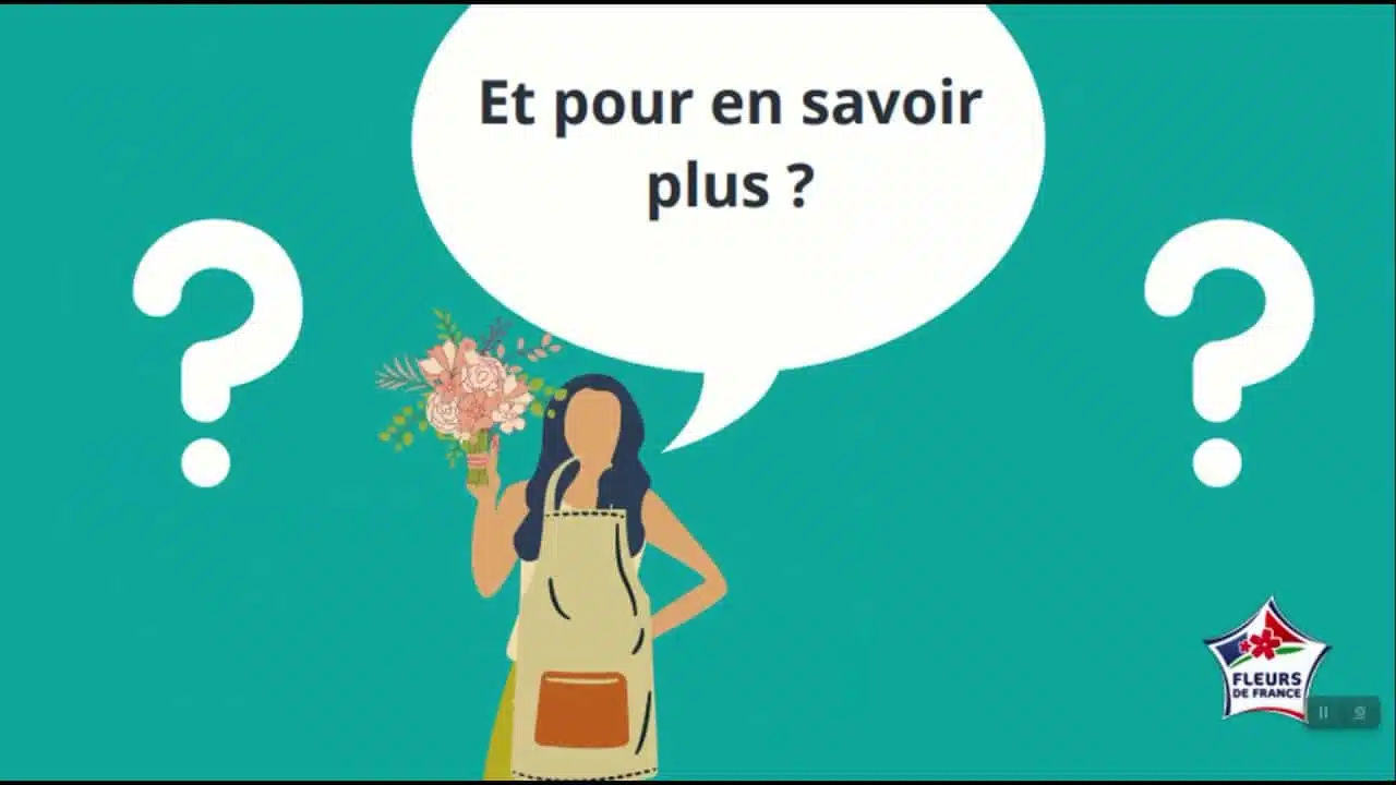 Fleurs de France pour les fleuristes - Episode 2 : L'approvisionnement