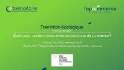 Transition écologique - Quel impact sur les métiers et les compétences du commerce ?