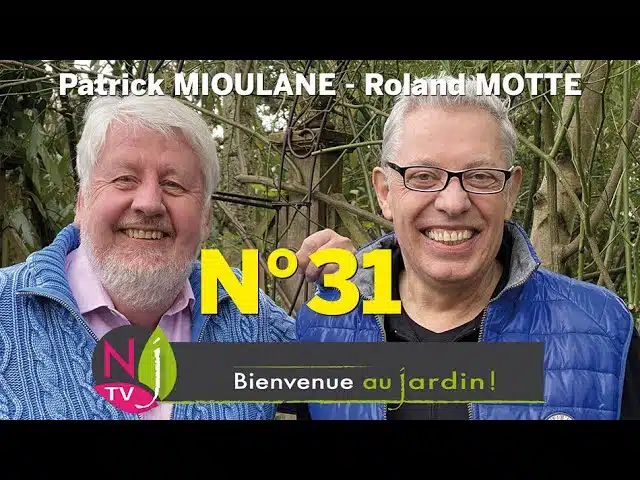 BIENVENUE AU JARDIN N° 31 : le grand podcast hebdo de NewsJardinTV présenté par Patrick et Roland