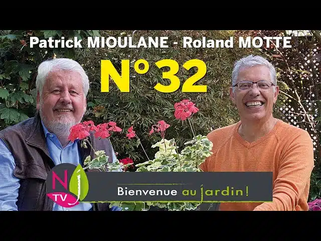 BIENVENUE AU JARDIN N° 32 : le grand podcast hebdo de NewsJardinTV présenté par Patrick et Roland