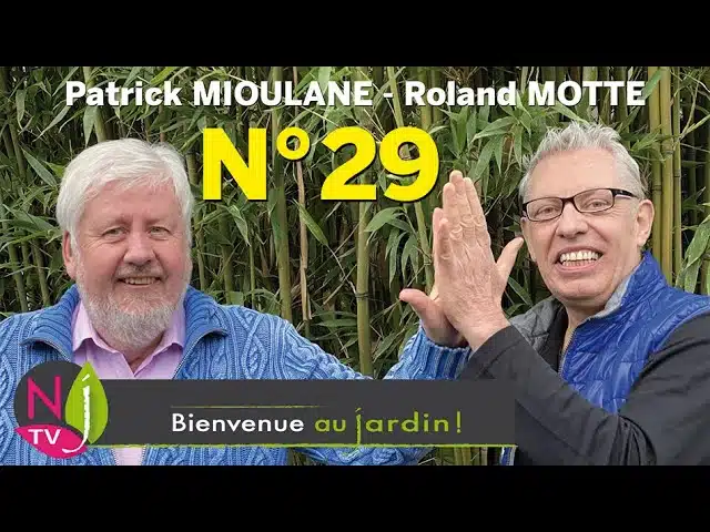 BIENVENUE AU JARDIN N° 29 (le grand podcast hebdomadaire de NewsJardinTV avec Patrick et Roland)