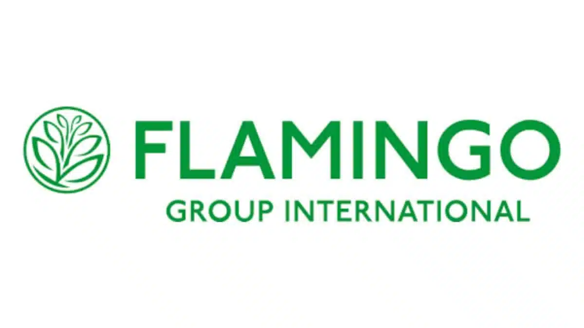 Flamingo JAF-info Jardinerie Fleuriste