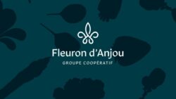 Fleuron d'anjou JAF-info Jardinerie
