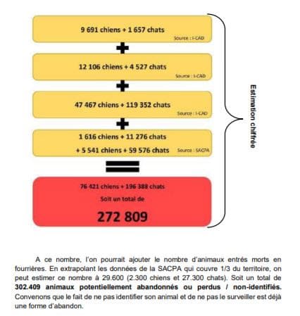 Loi Traitant La Lutte Contre La Maltraitance Animale – Le Prodaf Apporte La Preuve Du Mauvais Choix Que Nos Parlementaires Ont Fait