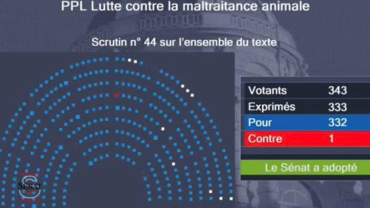 Senat Loi Maltraitance Animale JAF-info Animalerie