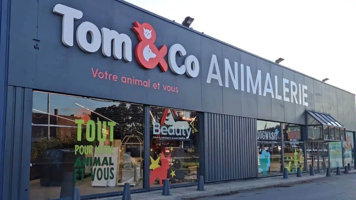 Tom and co JAF-info Animalerie