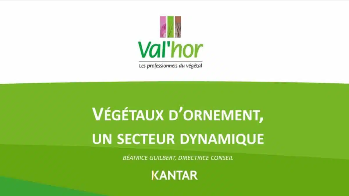 VÉGÉTAUX D’ORNEMENT JAF-info Jardinerie Fleuriste