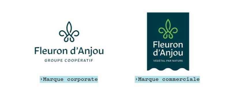 Fleuron D'Anjou 2 Jaf-Info Jardinerie