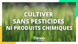 Comment cultiver sans pesticides ni produits chimiques ? - Samedi à tout prix