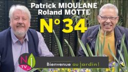 BIENVENUE AU JARDIN N° 34 : le grand podcast hebdo de NewsJardinTV présenté par Patrick et Roland