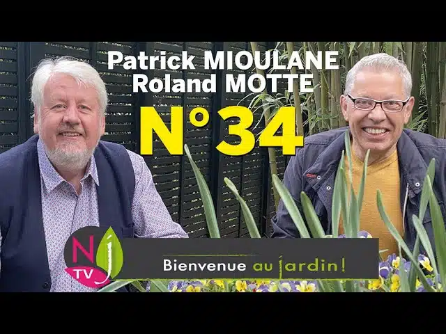 BIENVENUE AU JARDIN N° 34 : le grand podcast hebdo de NewsJardinTV présenté par Patrick et Roland