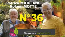 BIENVENUE AU JARDIN N° 36 : le grand podcast hebdo de NewsJardinTV présenté par Patrick et Roland