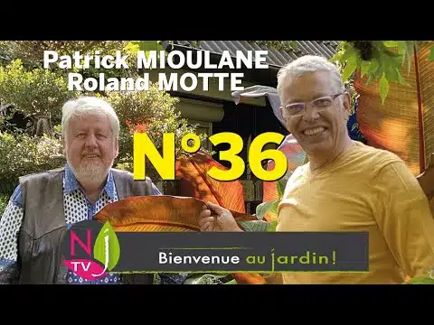 BIENVENUE AU JARDIN N° 36 : le grand podcast hebdo de NewsJardinTV présenté par Patrick et Roland