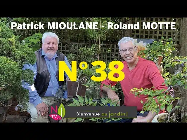 BIENVENUE AU JARDIN N° 38 : LA GRANDE ÉMISSION HEBDO DE NEWSJARDINTV PRÉSENTÉE PAR PATRICK ET ROLAND