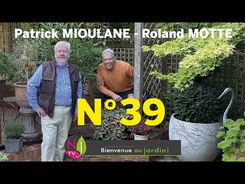 BIENVENUE AU JARDIN N° 39 : LA GRANDE ÉMISSION HEBDO DE NEWSJARDINTV PRÉSENTÉE PAR PATRICK ET ROLAND