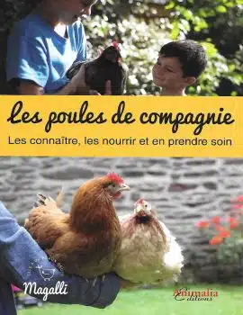 Poules de compagnie Magalli - JAF-info Animalerie