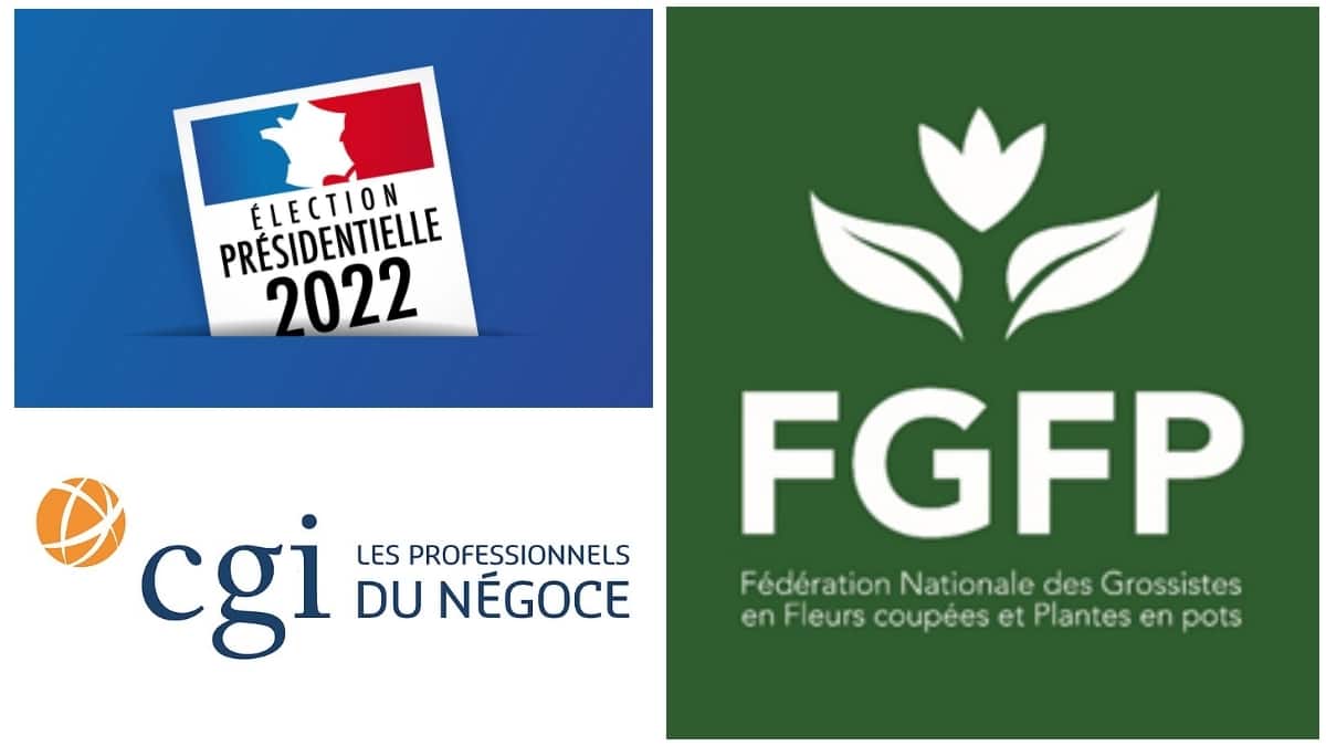 FGFP CGI Gros Grossiste JAF-info Jardinerie Animalerie Fleuriste