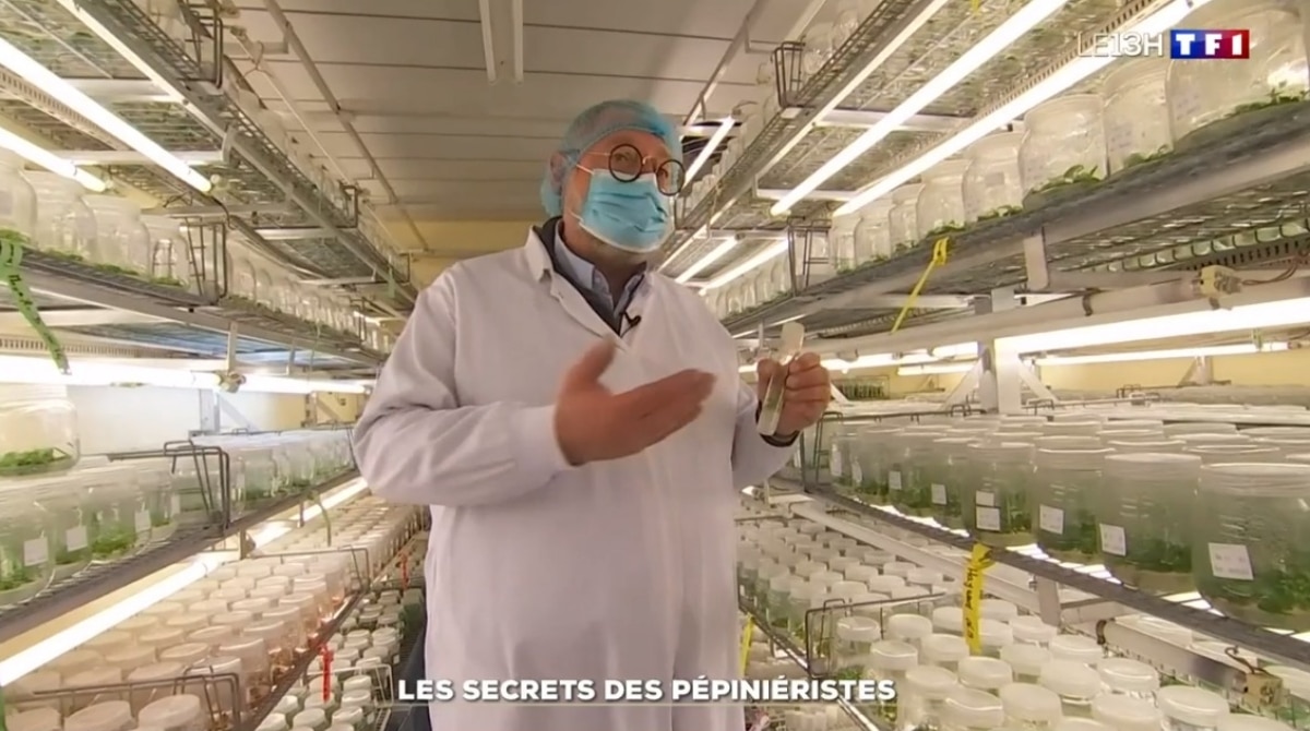 Les secrets des pépinièristes JAF-info Jardinerie Fleuriste