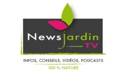 NewsJardin Patick Mioulane JAF-info Jardinerie