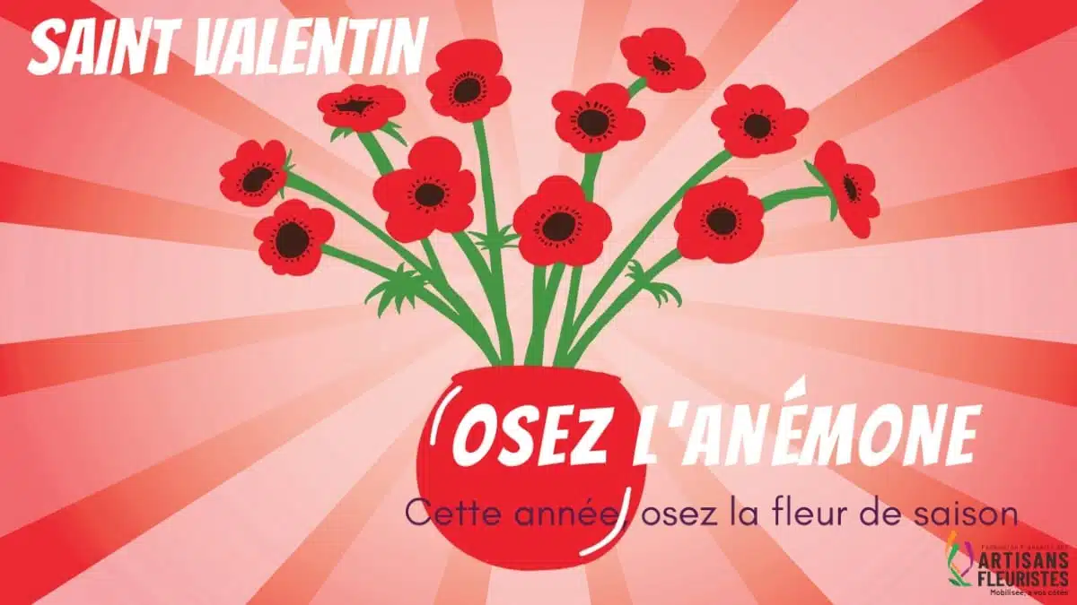 Osez Anemone FFAF JAF-info Fleuriste 2