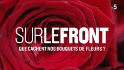 Saint-Valentin que cachent nos bouquets Sur le Front France 5 JAF-info Fleuriste