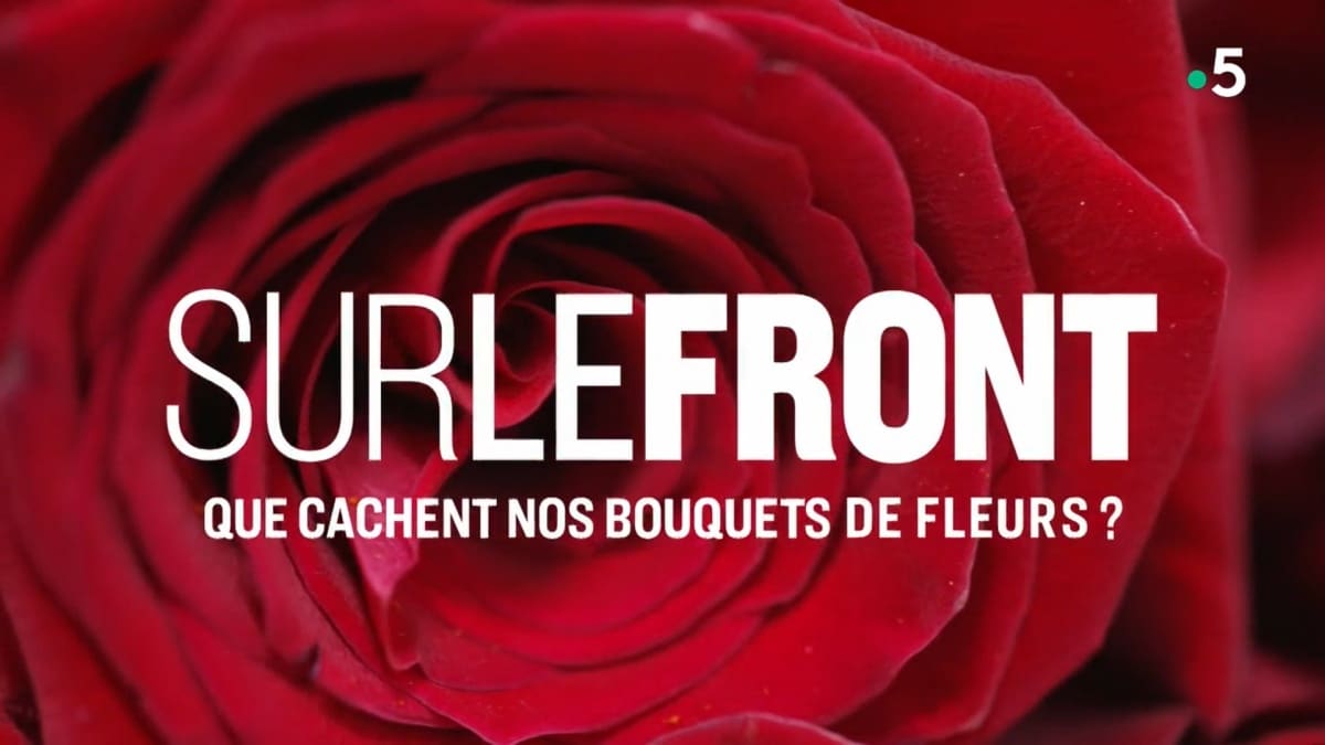 Saint-Valentin que cachent nos bouquets Sur le Front France 5 JAF-info Fleuriste