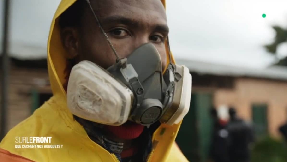 Sur le front Hugo Clement Bouquet de pesticides - Saint Valentin JAF-info Fleuriste
