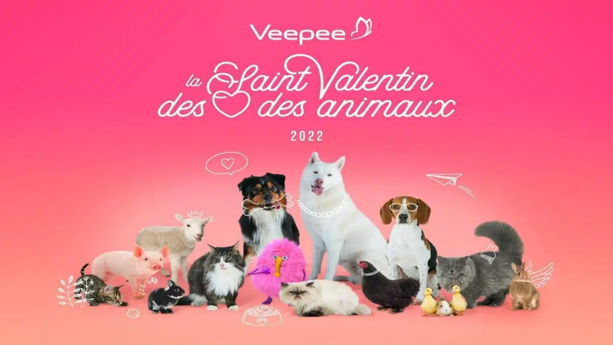 Veepee St Valentin JAF-info Animalerie