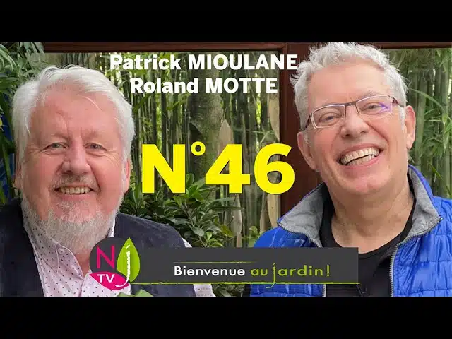 BIENVENUE AU JARDIN N° 46 : LA GRANDE ÉMISSION HEBDO DE NEWSJARDINTV PRÉSENTÉE PAR PATRICK ET ROLAND